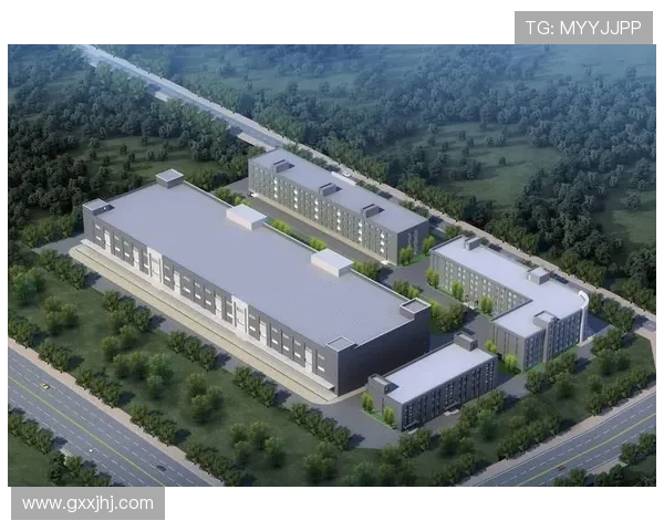 K8凯发网址官方地址安全性分析与防护措施介绍