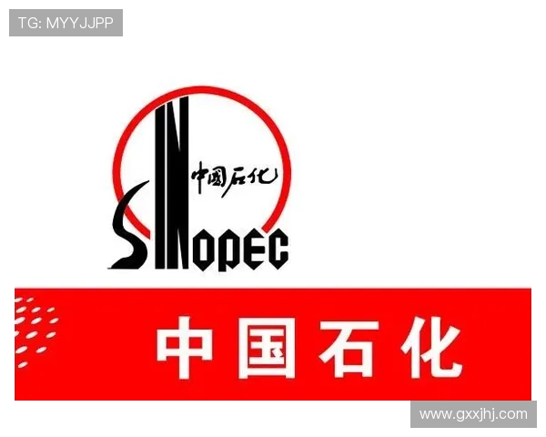 凯发国际k8官网的支付方式多样化及资金安全保障措施