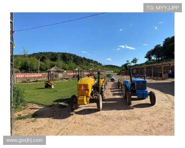 德州扑克电竞：赛事组织、玩家培养与行业生态的全面升级之路