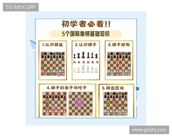 百信快三新手入门指南,快速掌握游戏规则与玩法技巧