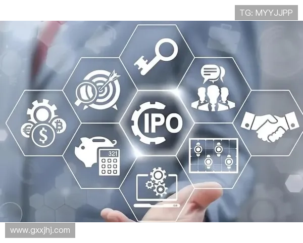 网上三公:网络平台上的公务消费行为对政府形象的影响与应对策略 网上三公:网络平台上的公务消费行为对政府形象的影响与应对策略