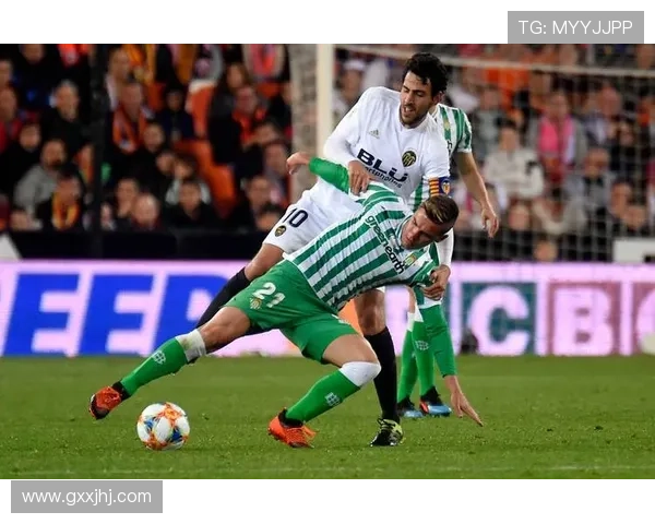 全面解析FB体育赛事直播服务提供的丰富内容与多样化观看体验满足不同用户需求