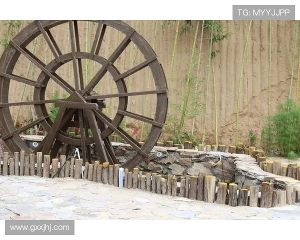 选择xwinbet真人平台，体验最专业的真人在线博彩服务