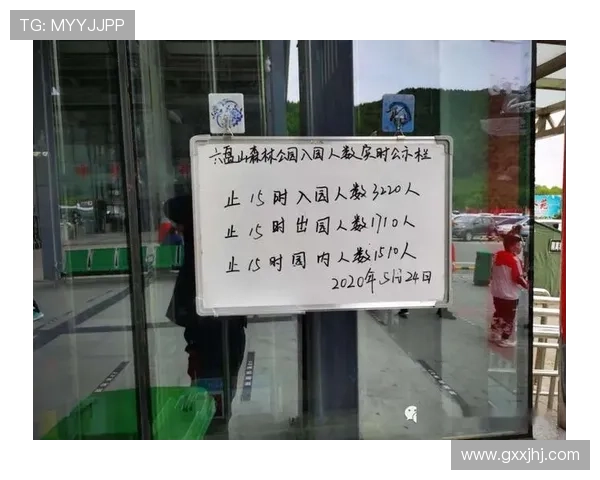 快3彩票安全购彩指南，保障你的资金安全与个人信息隐私保护